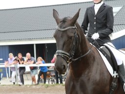 img_5840_web